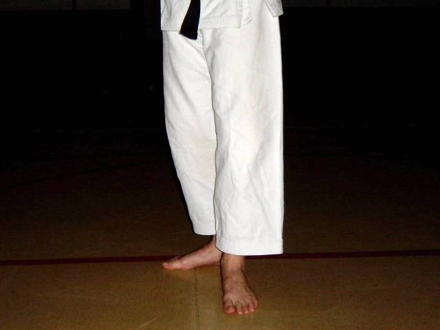  Các thế tấn của Karate